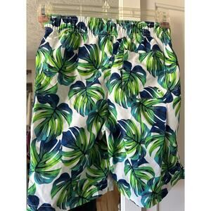 Boys board shorts large 10/12